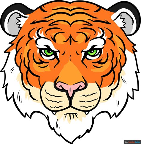tiger face drawing easy